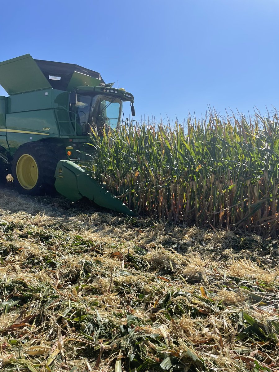 JoshTooley19's tweet photo. Harvesting smart corn system trials in Effingham county. With two pass fungicide, V5 followed by VT had 9% greater yield compared to VT followed by R3 across two trials. #Bayer4IL @DKAS_SIL https://t.co/CqQIzI7aIB