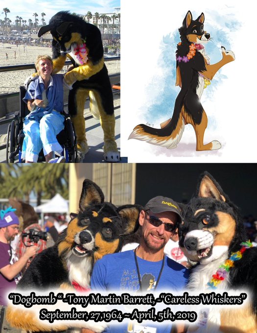 StormfireStudiosCostumes/FirestormSix (@SSC_Costumes) on Twitter photo 2022-09-28 20:03:24 Happy birthday to one of the greatest losses to the furry fandom, @dogbomb1 he would have been 59 today. We miss you my friend, & never will forget. Happy birthday to one of the greatest losses to the furry fandom, @dogbomb1 he would have been 59 today. We miss you my friend, & never will forget.