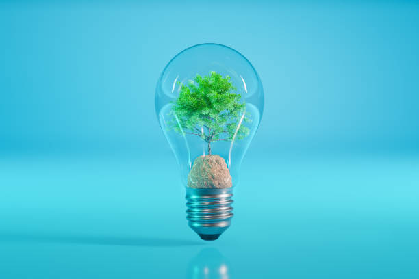 “Electricity is the soul of the universe.” – John Wesley.