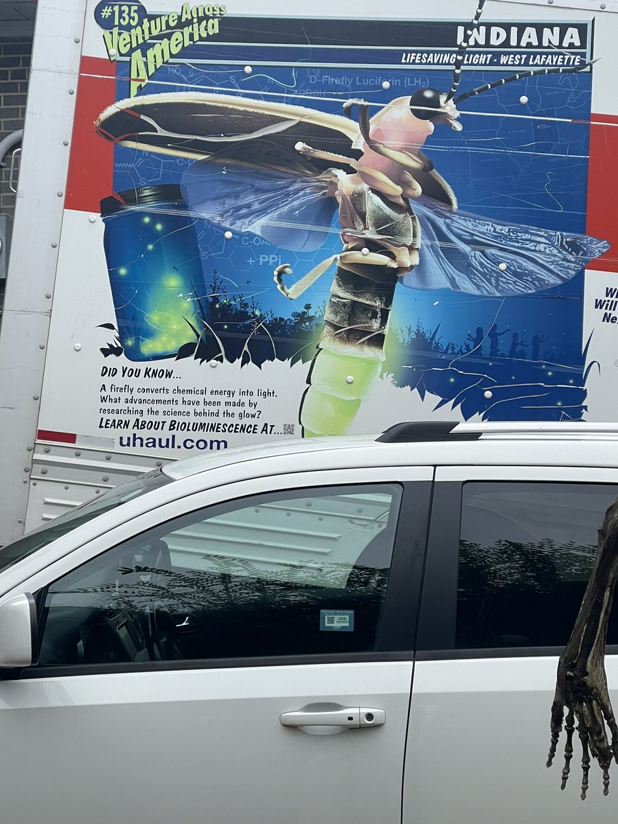 Rob_F15's tweet photo. All this talk about the White Rabbit, and Bray Wyatt and then my neighbor get a moving truck with this on it. https://t.co/oTp06ntQK2