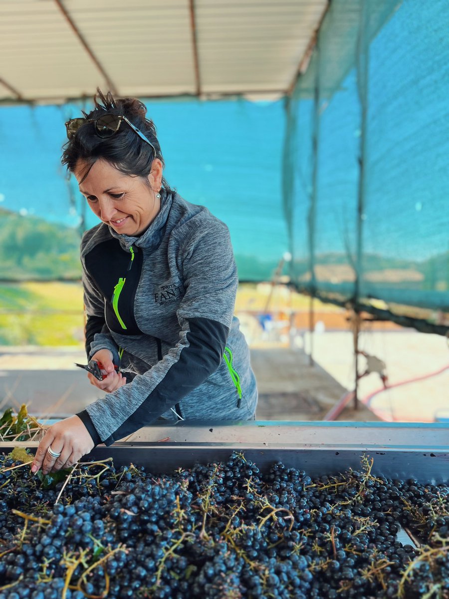How was the grape harvest this year? The answer is in Elisa's smile 🍇✨
#Harvest22 #Brunello #Montalcino #Sangiovese