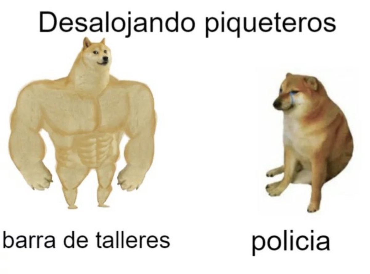 Los Herederos de Alberdi tweet media