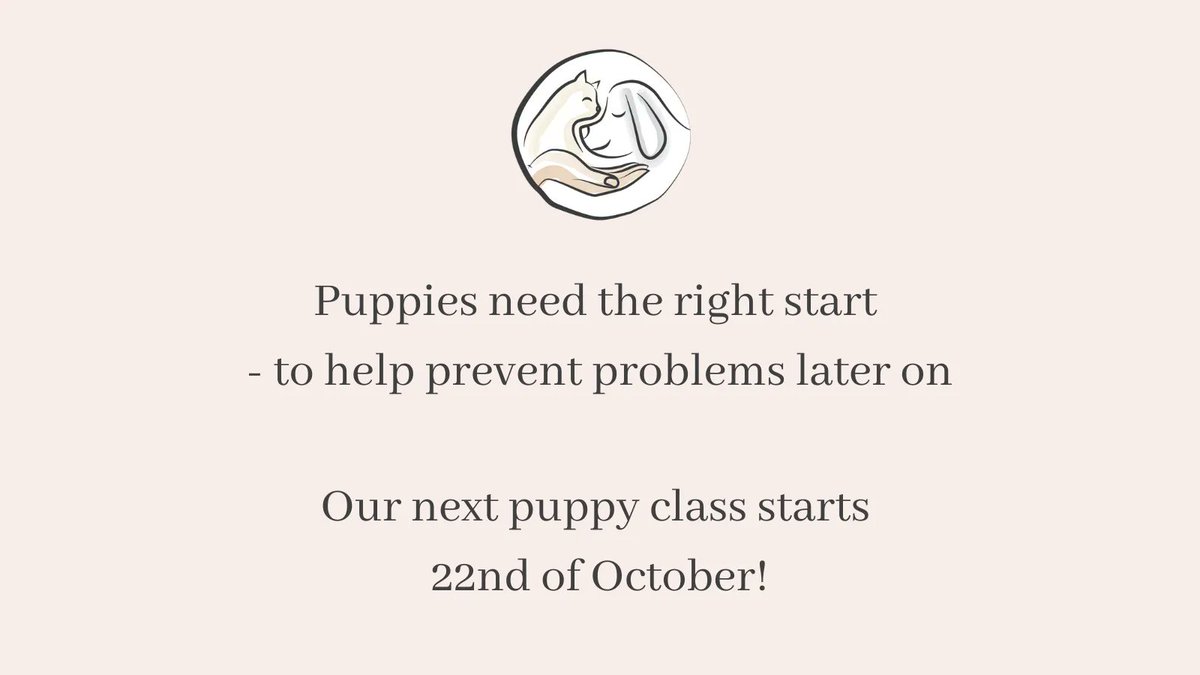 WildPaw's tweet photo. Are you looking at #puppyclasses that just offer the basics? Your puppy needs so much more than sit-stand-down. We work with you on helpful behaviours that teach your #puppy to be a calm, settled and confident adult #dog.
Find out more here: https://t.co/6iZbZojgMK https://t.co/oc8WS5BZhx