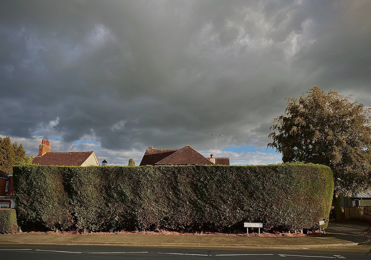 MrDavidTravis's tweet photo. Impressive commitment to a box hedge spotted today #boxhedge #hedge https://t.co/MQpHdhWg2F