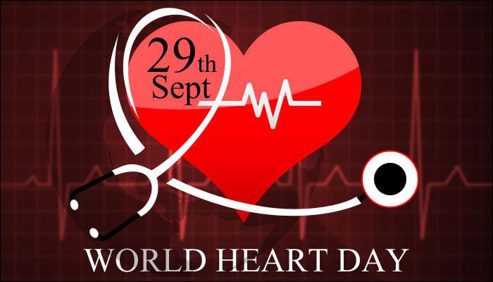 HalimaMakarem's tweet photo. This event gives me the chance to cheer up for my Masters Degree in #Cardiovascular_Pharmacology🩺 each and every year.. 

#CVPH2018🎓
#Forever_Proud
#worldheartday2022 
#useheart ❤️
#WorldHeartDay https://t.co/3JsqRIjC50