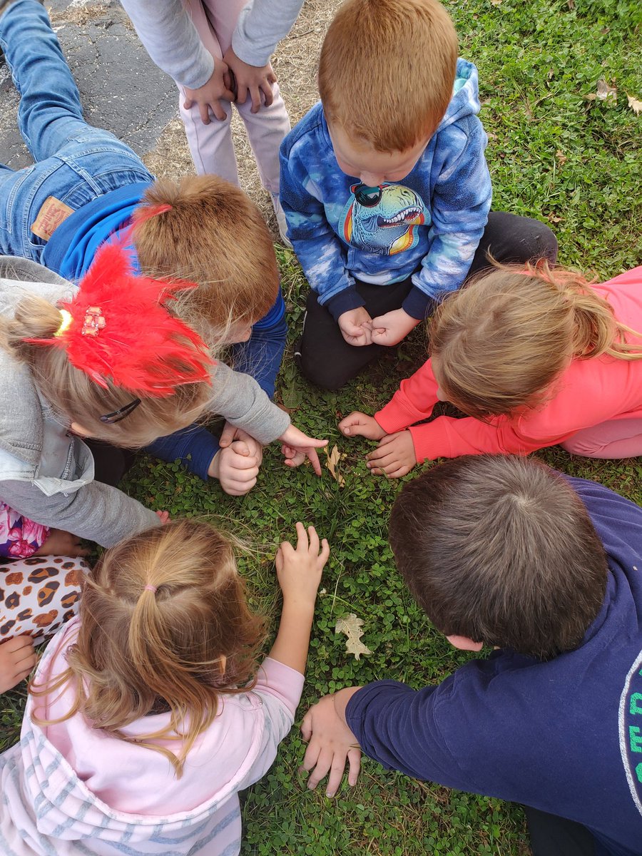 MissDauby's tweet photo. In Kindergarten, it's kind of a big deal when you find a caterpillar at recess. #WeAreMG 🐛 https://t.co/PHqMR8asXy