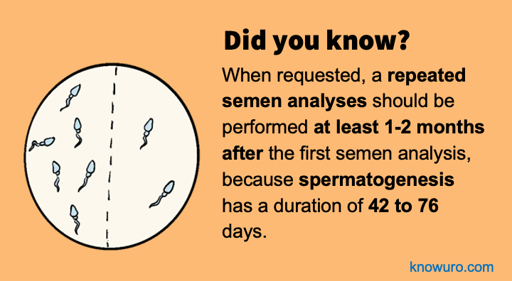 Hello #urology #residents! Have you been studying male #infertility? 🤔 Here is a UROfact for you. Have a nice week! 🙂