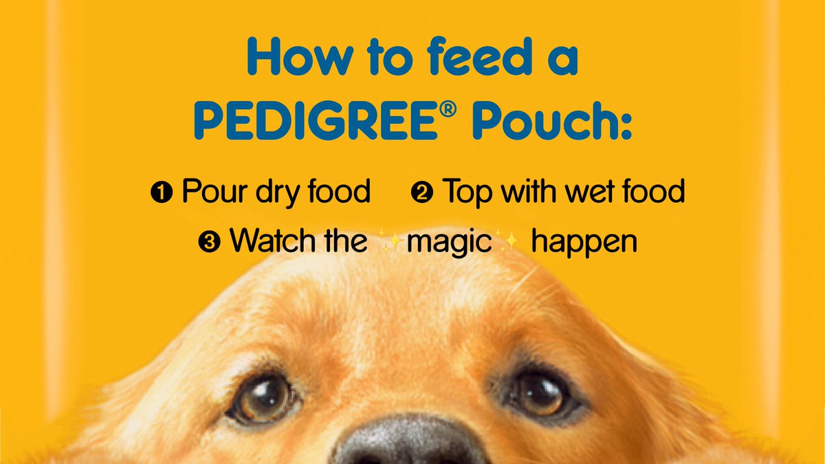 As you know, enthusiasm for PEDIGREE Pouches knows no bounds. Shop for the perfect PEDIGREE Pouch: bit.ly/3E3j5vI #PedigreePouches #PedigreeDogFood