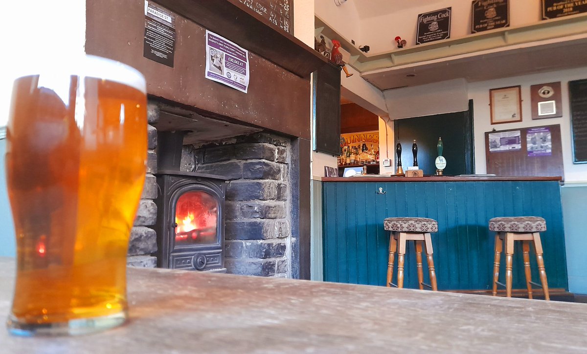 GingRealAleTrail tweet media