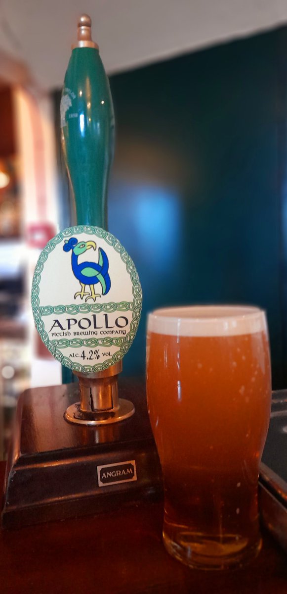 GingRealAleTrail tweet media