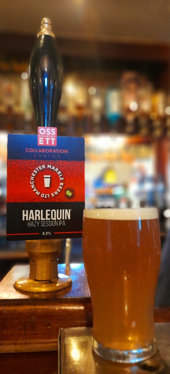 GingRealAleTrail tweet media