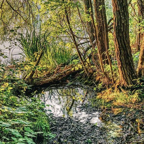 Akovognon Jérôme DOHOU (@dohoujerome1) on Twitter photo Les zones humides, principales zones riches en #biodiversité
Elles abritent une forte #biodiversité, limite les crues et les sécheresses tout en réduisant l'impact du réchauffement #climatique.
Let protect our #wetlands.
<a href="/RamsarConv/">Convention on Wetlands</a> <a href="/WetlandsInt/">Wetlands International</a> <a href="/UNEP/">UN Environment Programme</a> <a href="/UNEP_Africa/">UN Environment Programme in Africa</a> <a href="/AFD_France/">Agence Française de #Développement (AFD) 🇫🇷 🇪🇺</a> Les zones humides, principales zones riches en #biodiversité
Elles abritent une forte #biodiversité, limite les crues et les sécheresses tout en réduisant l'impact du réchauffement #climatique.
Let protect our #wetlands.
<a href="/RamsarConv/">Convention on Wetlands</a> <a href="/WetlandsInt/">Wetlands International</a> <a href="/UNEP/">UN Environment Programme</a> <a href="/UNEP_Africa/">UN Environment Programme in Africa</a> <a href="/AFD_France/">Agence Française de #Développement (AFD) 🇫🇷 🇪🇺</a>