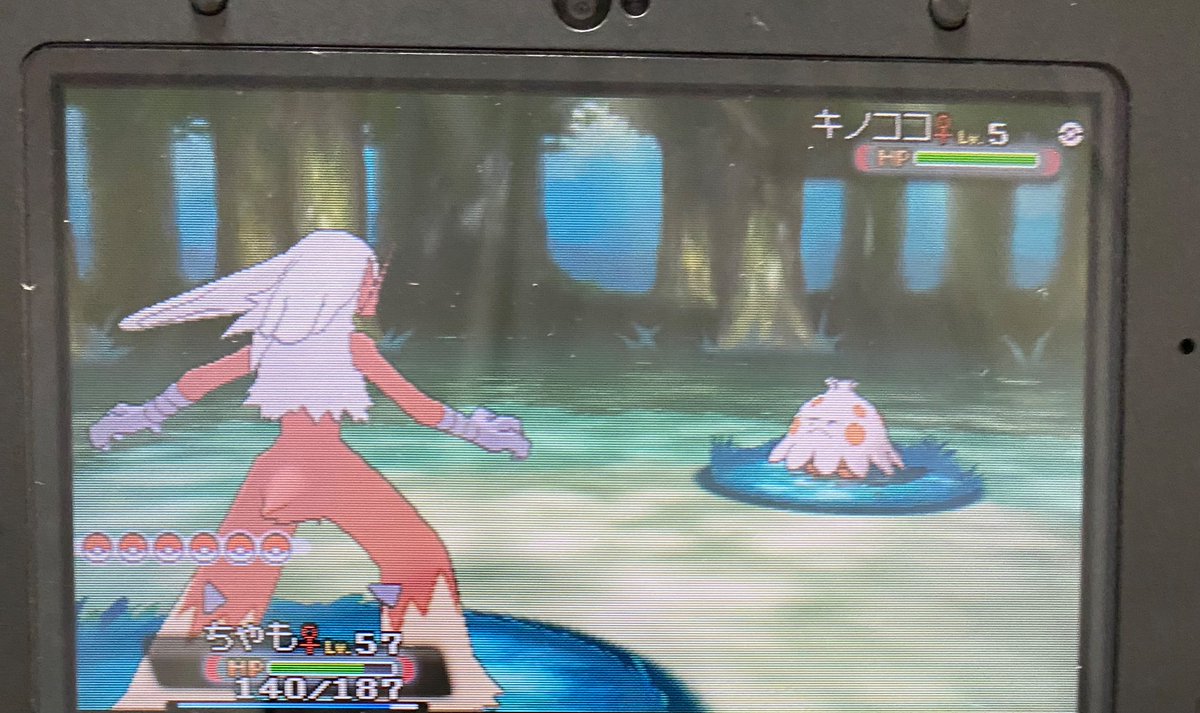 アルファサファイア Twitter Search Twitter