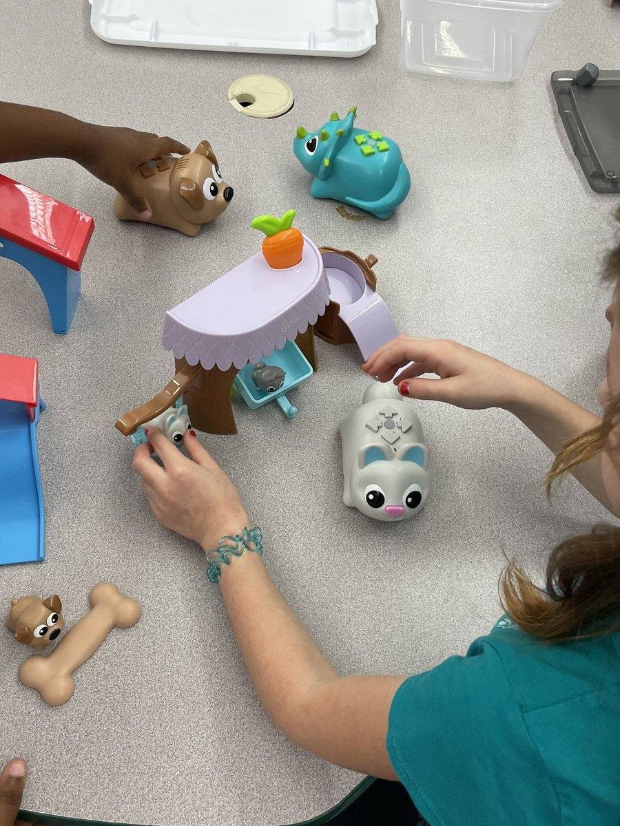 Sarah Poole tweet media