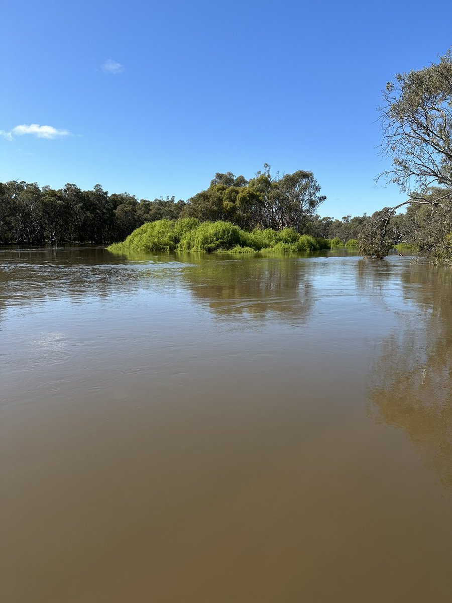 Dale Pearce tweet media