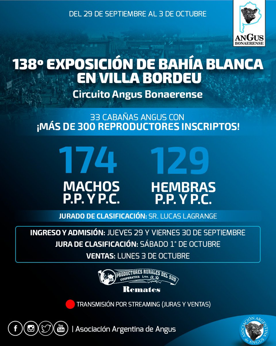 Angus Argentina tweet media