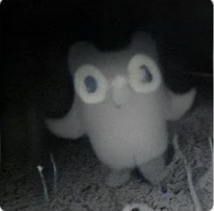 Joodeci's tweet photo. @kyleancheta_ i heard if you get a 1000 streak the duolingo owl will come visit you at night ✨ https://t.co/03wTPPHa2D