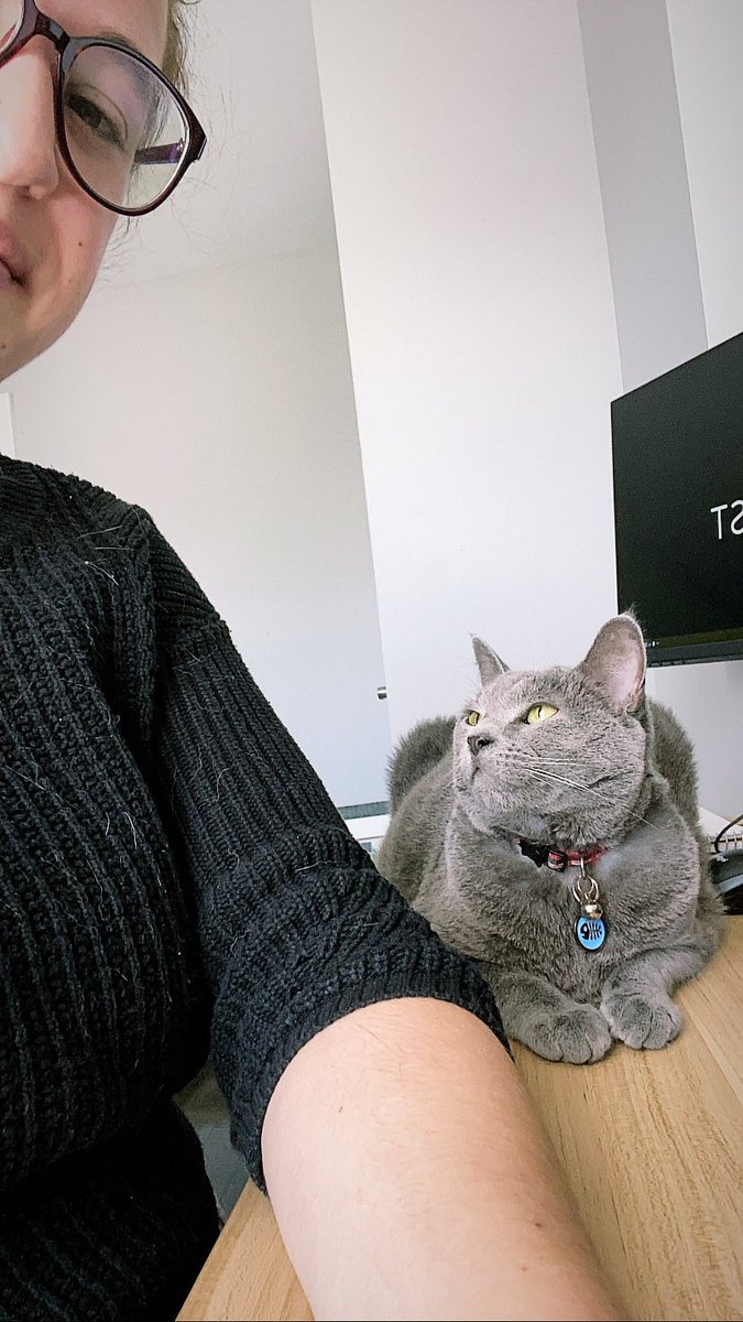 connoreve tweet media