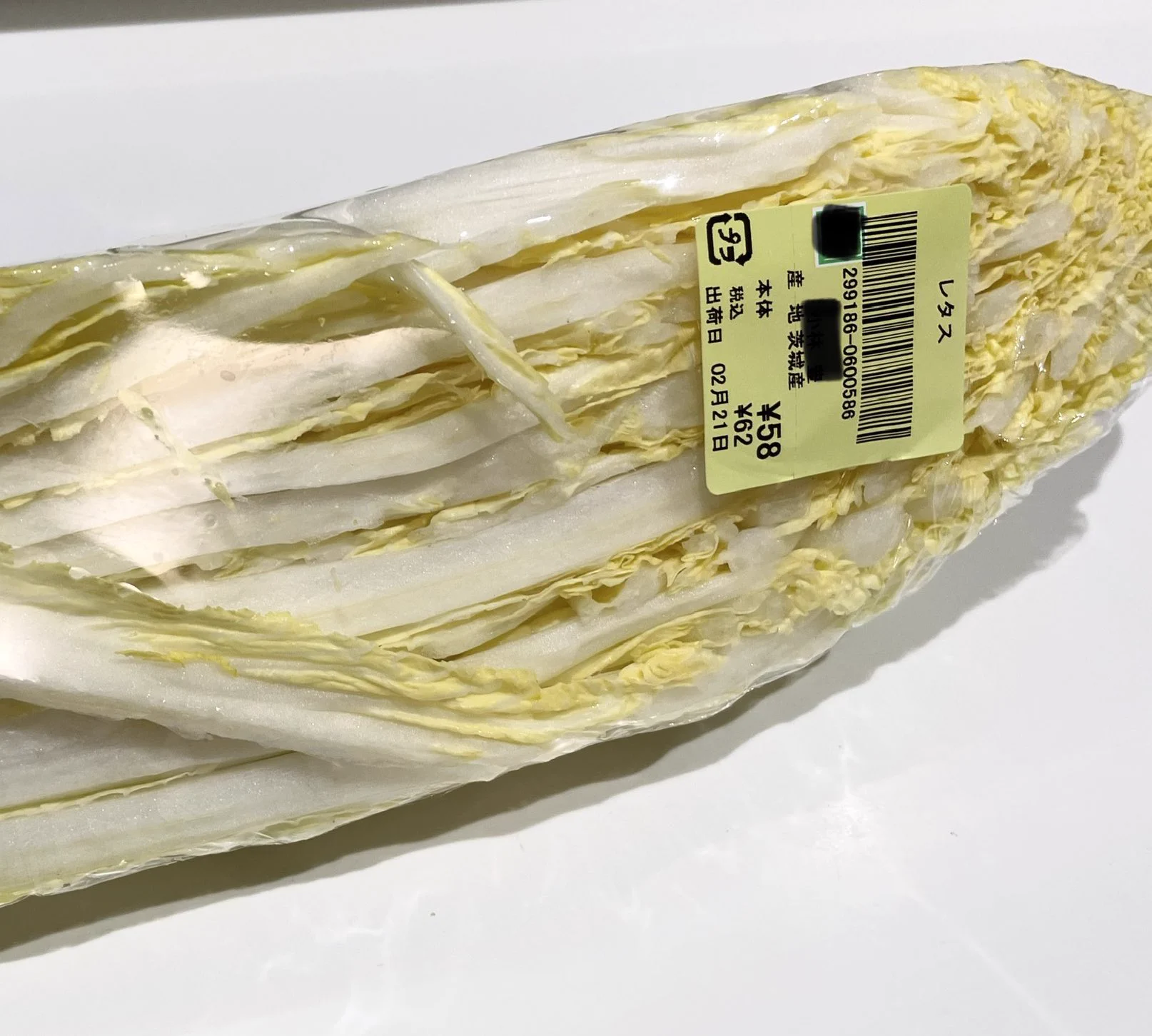 @doller せっかくなので便乗させていただきます
レタスです 