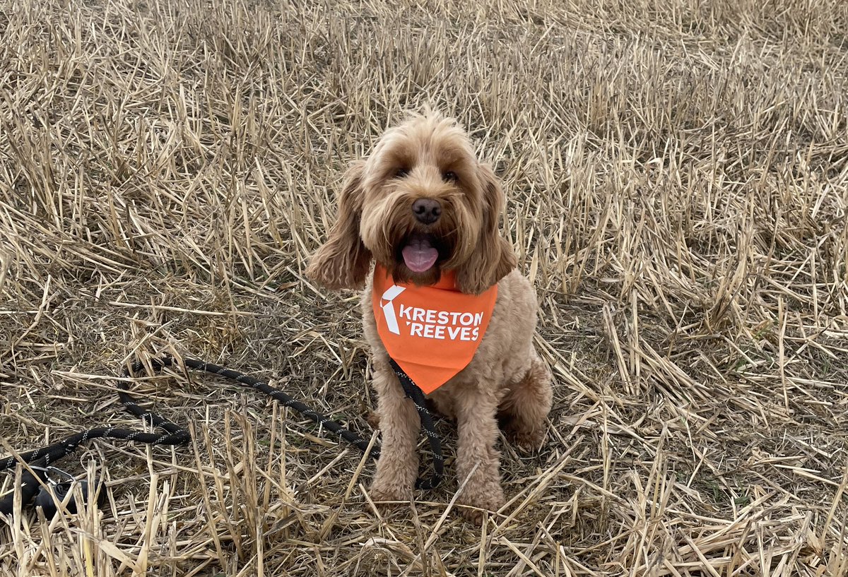 John Simpson tweet media