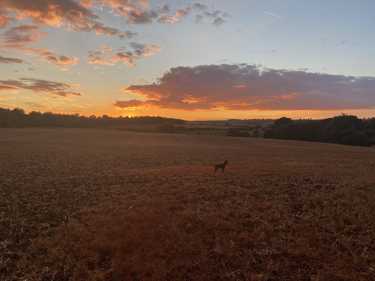 Work / Life balance …