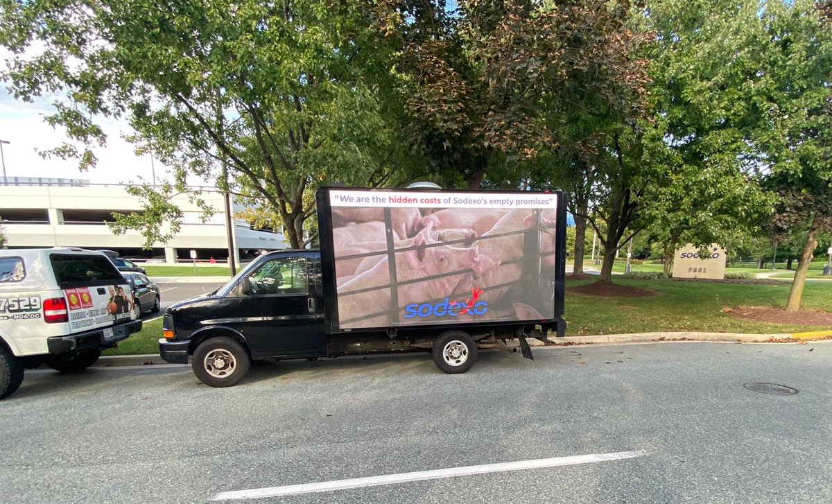 Aimee May tweet media