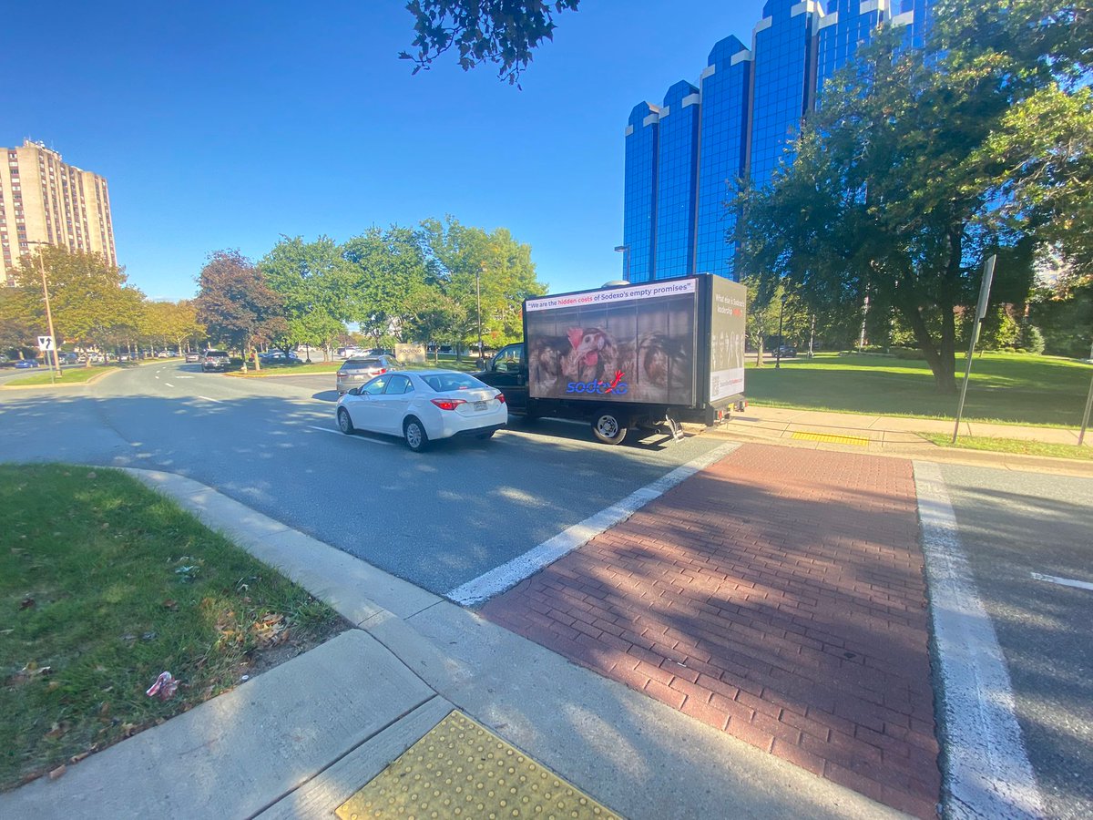 Aimee May tweet media