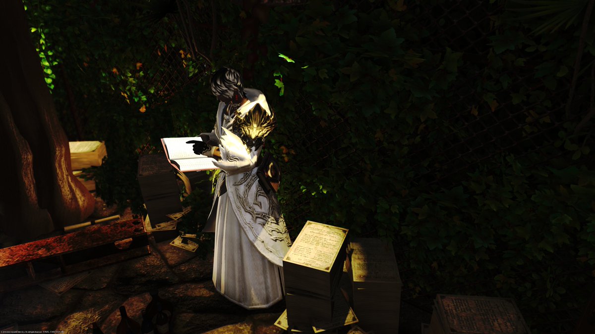NeetNiya's tweet photo. #GPOSERS　
#XIV_PICTCLIP 
#FF14 #FF14SS 
#綺麗なお姉さまは好きですか
#FF14風景 
#ルガディン
#ルガ子 
#ルガディン娘普及委員会

#C1s
Valefor エンピレアム 第10区 6番地
ハウス内 個室 004

　もう少しオブジェを上手く使って撮りたいなぁ・・・ https://t.co/2FtLE6QNOt