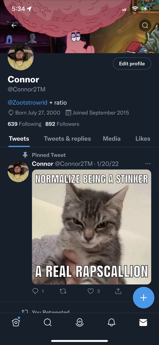 Connor tweet media