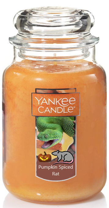 random_snakes's tweet photo. #NewFallFlavors Pumpkin Spiced Rat! π€ͺπππ https://t.co/hs4EcuyOh1