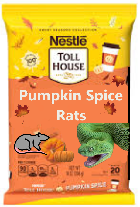 random_snakes's tweet photo. #NewFallFlavors Pumpkin Spiced Rat! π€ͺπππ https://t.co/hs4EcuyOh1
