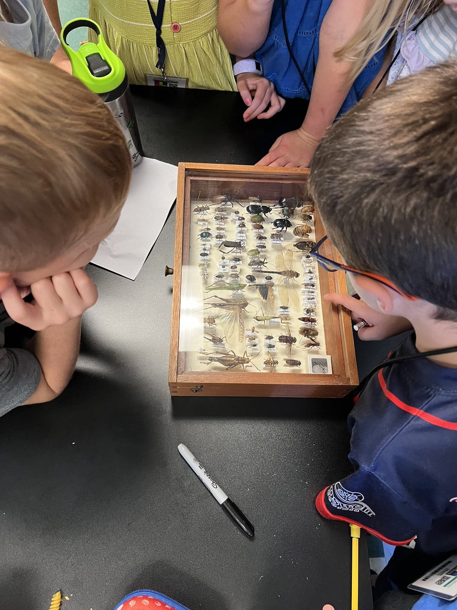 RNE second graders loved learning from a <a href="/universityofga/">UGA</a> entomologist during our TAG unit on insects. The insect collection he brought was a hit!  <a href="/RNEprincipal/">Dr. Lydia Conway</a>