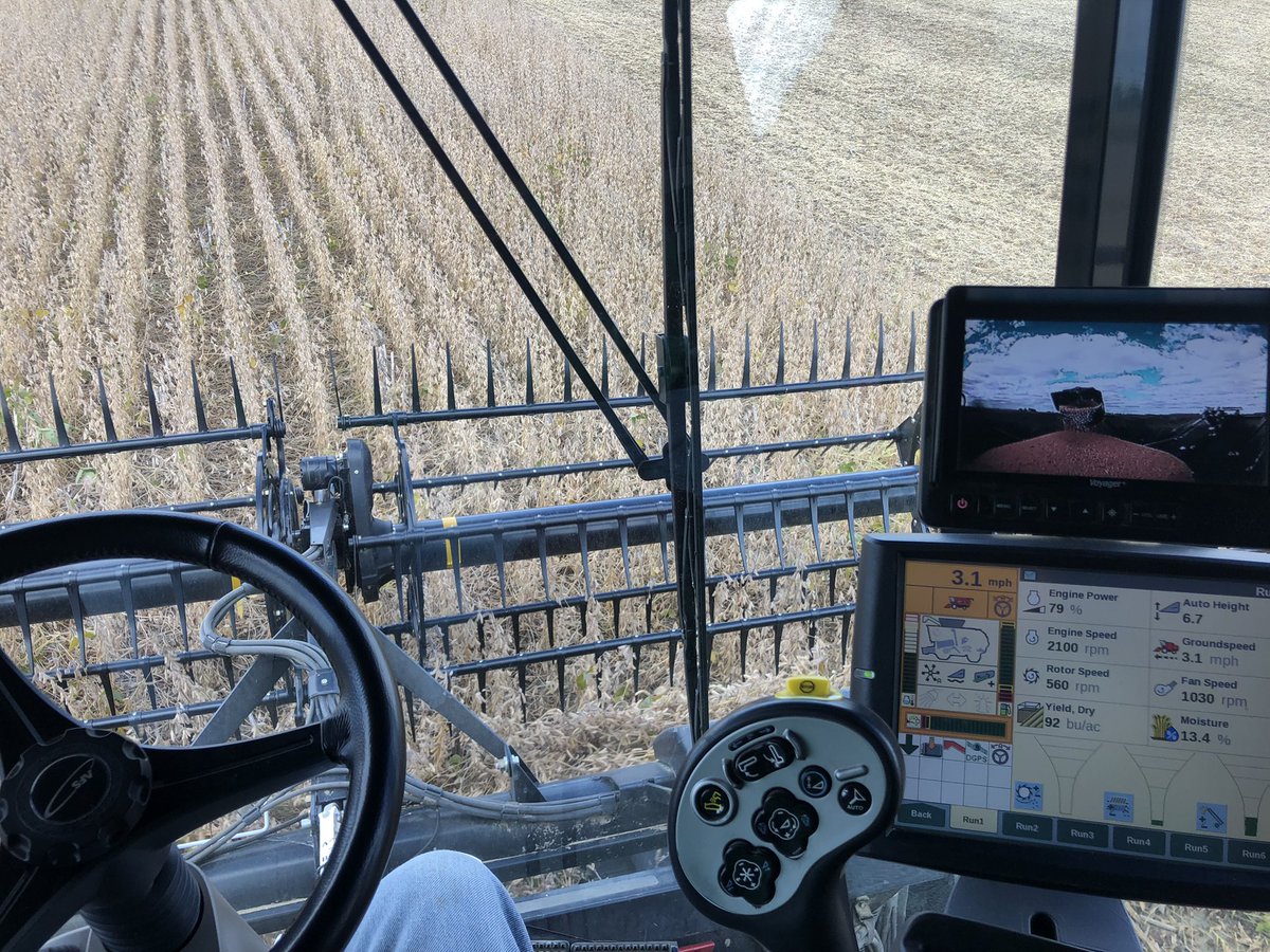 LisaASchwinn's tweet photo. AG27XF1s running in the 90s BPA in Madison Co., IN.  @DKAS_NIN https://t.co/5JniiqOCxO