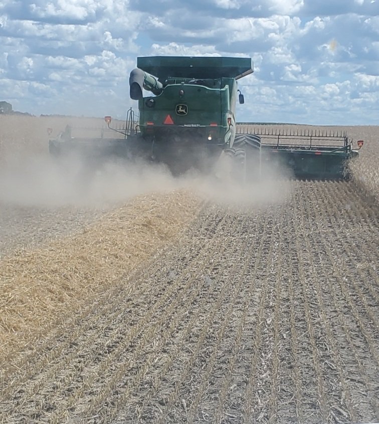 kruser1980's tweet photo. #harvest22 sweet peas last week, now triticale and cereal rye #covercrop https://t.co/5haTylO1KE