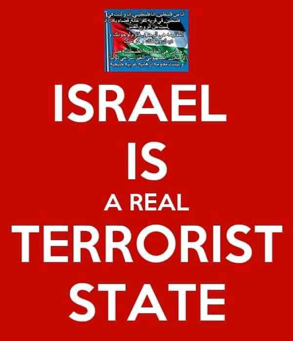 Moustaf62846185's tweet photo. @jlrose13 @MSirajKhan19 @Timesofgaza You are  the only TORRARIST ON THIS PLANT YOU LOW LIFW GILTHY SQUATTERS. https://t.co/0AvGia2ohp