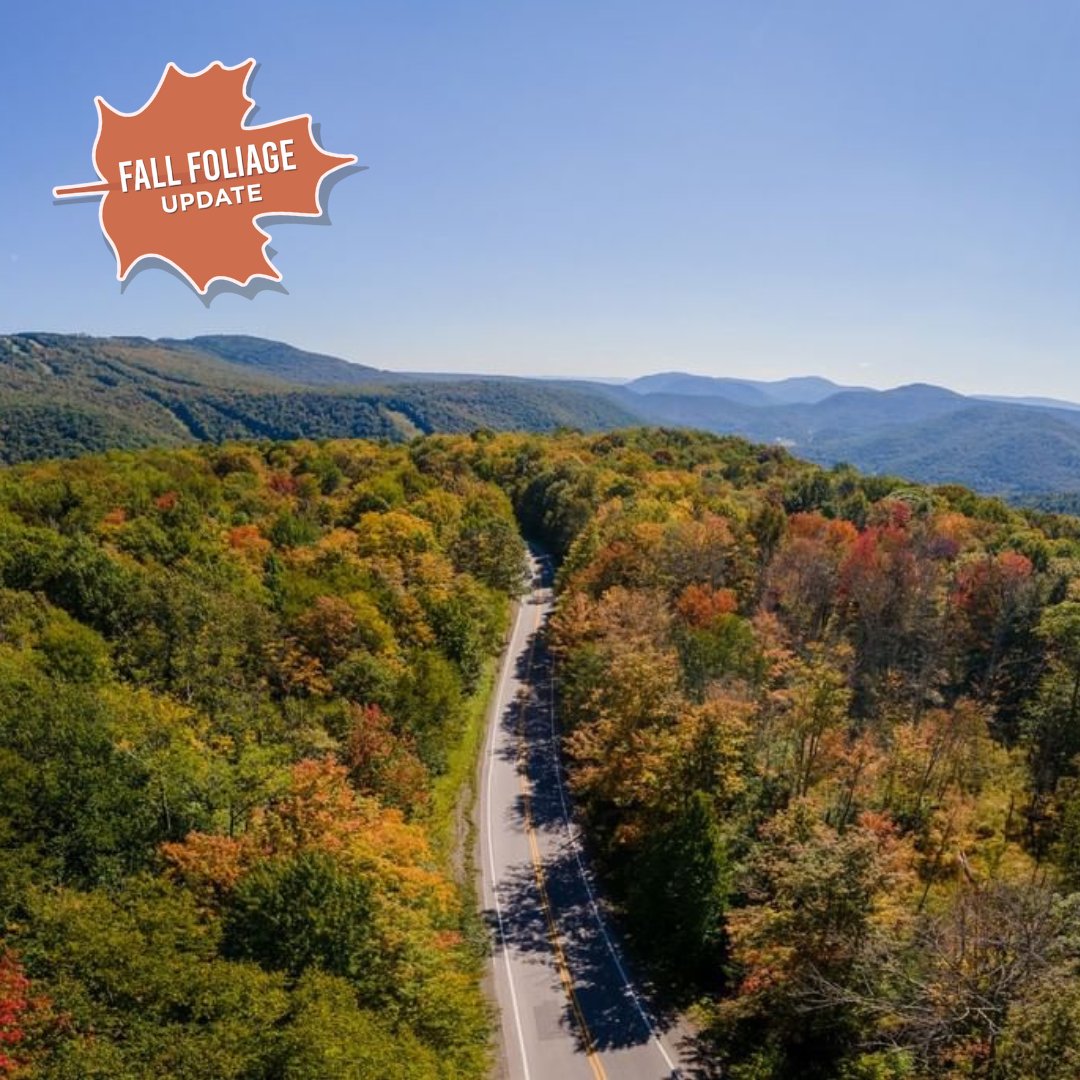 WVtourism's tweet image. Our first fall foliage update is here and we couldn’t be more excited! 🍂 Explore our must-visit trails and the full report: bit.ly/3Ci9RKZ. 

📸: instagram.com/snowshoemtn
📍: Snowshoe Mountain