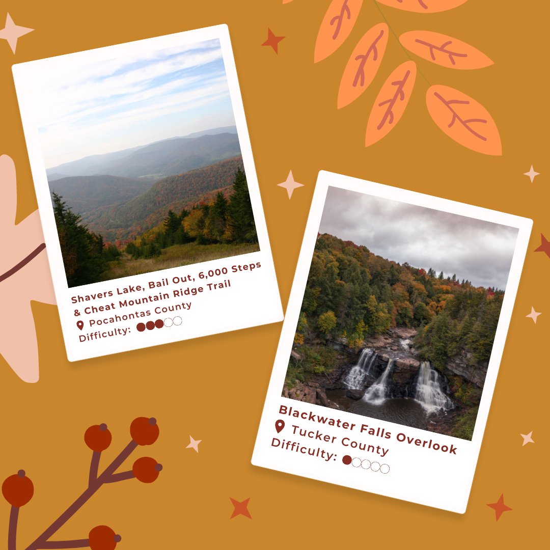 WVtourism's tweet image. Our first fall foliage update is here and we couldn’t be more excited! 🍂 Explore our must-visit trails and the full report: bit.ly/3Ci9RKZ. 

📸: instagram.com/snowshoemtn
📍: Snowshoe Mountain