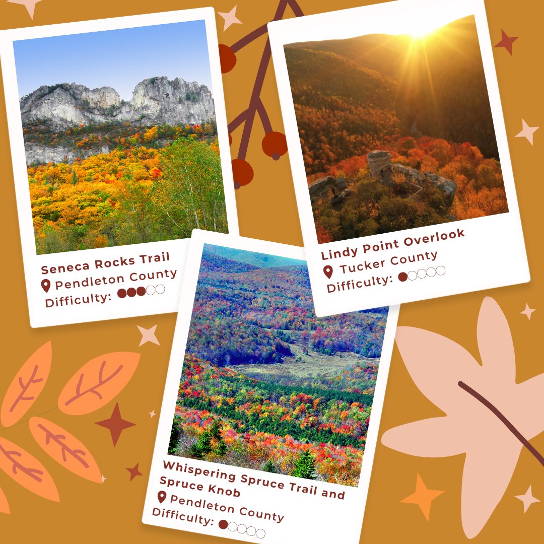 WVtourism's tweet image. Our first fall foliage update is here and we couldn’t be more excited! 🍂 Explore our must-visit trails and the full report: bit.ly/3Ci9RKZ. 

📸: instagram.com/snowshoemtn
📍: Snowshoe Mountain