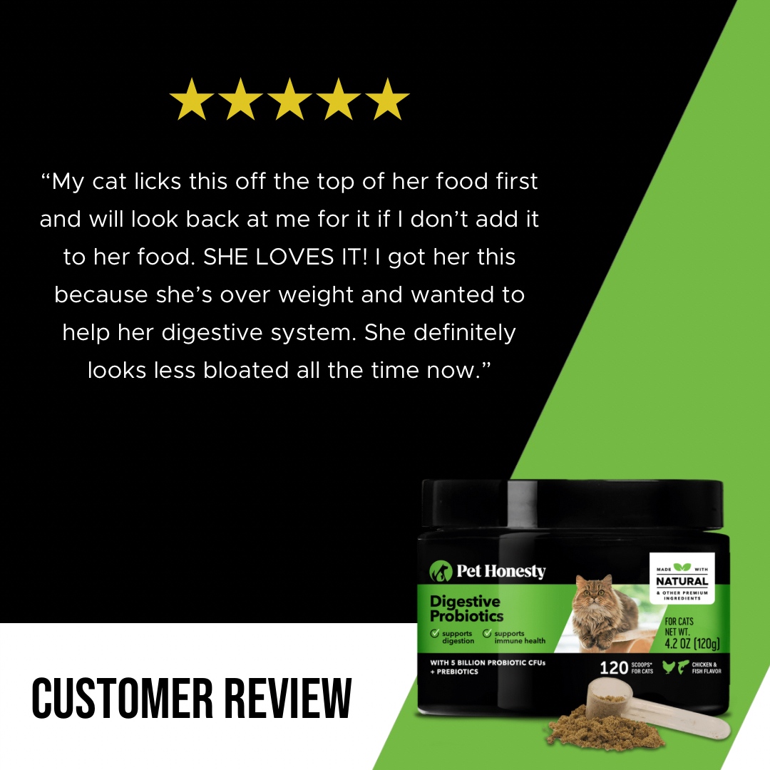 PetHonesty's tweet photo. Itโs like putting sprinkles on a cookie, only healthier. And for cats!๐
#nationalcatmonth #cats #cat #digestiveprobiotic #catdigestion #cathealth #catwellness https://t.co/6YbqkQ3zlv
