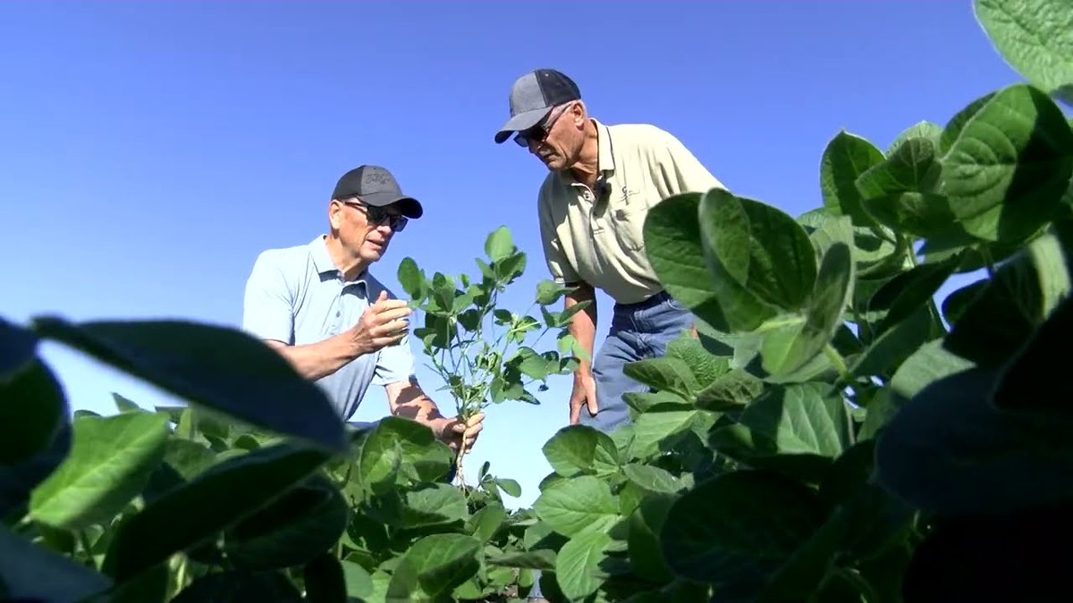 nanoyield's tweet photo. Darcy Erickson: “Growers like the cost savings. The input cost is less but farmers are achieving higher yields and a better crop through nanoliquid technology. We no longer have to spread in tons; we can spread in ounces.” https://t.co/GK18D0EzxQ #aquayield #nanotechnology https://t.co/yTbDz6WNGe