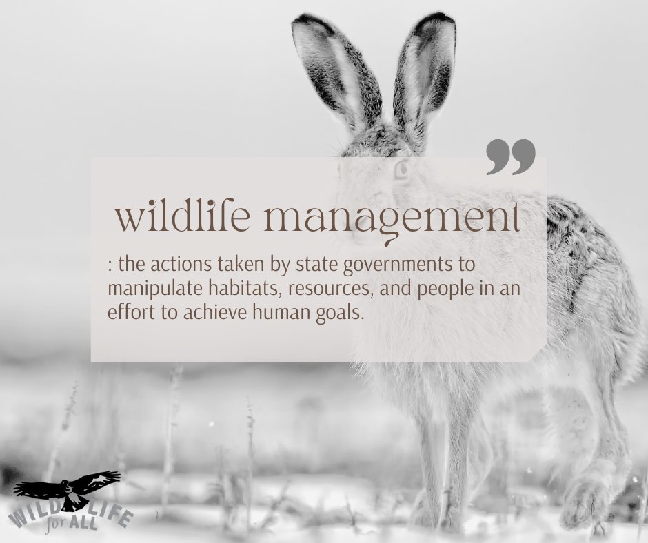 Wildlife for All is a coalition of organizations working together to reform state wildlife management policies to be more democratic, just, compassionate, and focused on protecting native species and ecosystems. Join us. wildlifeforall.us