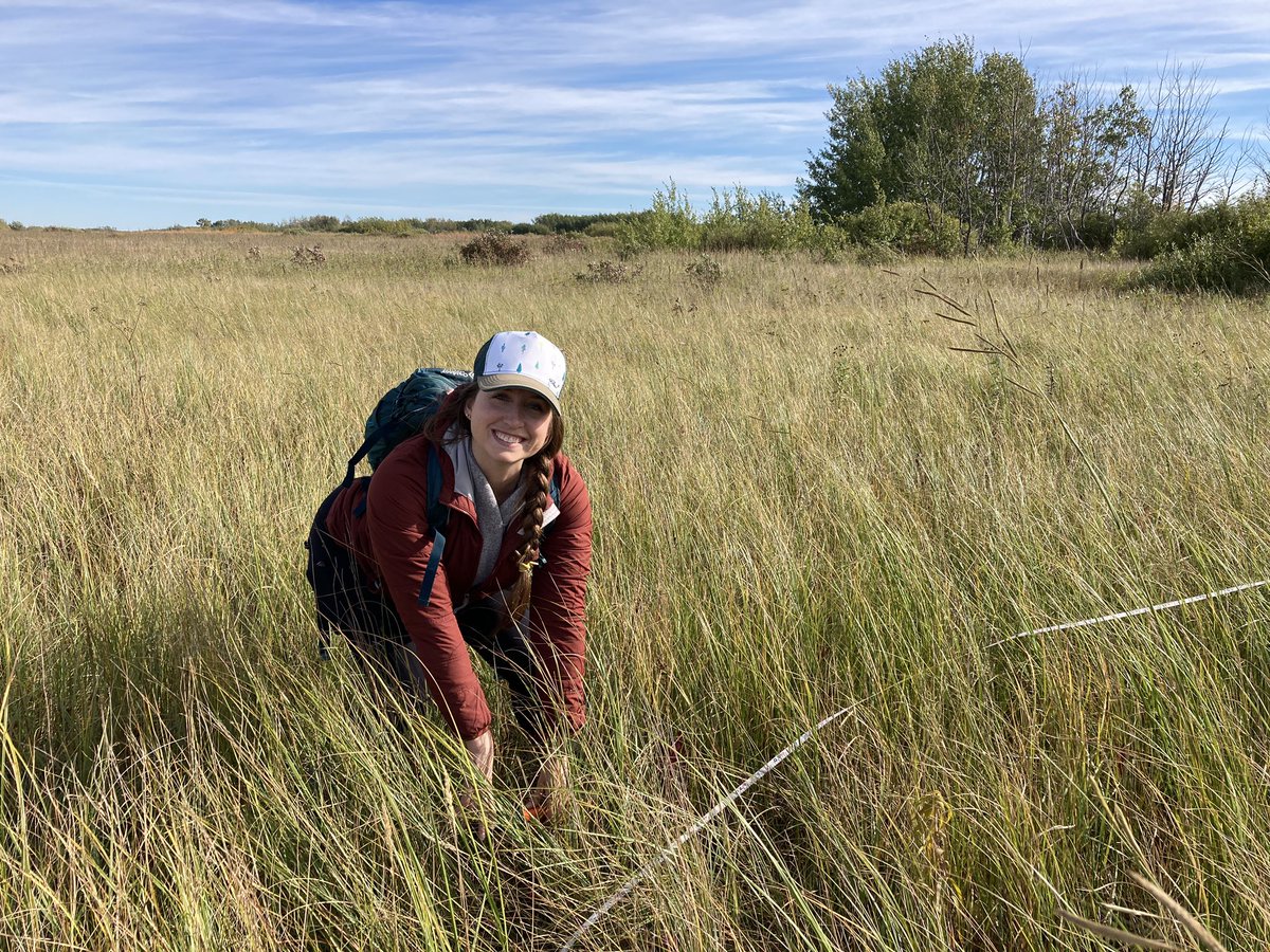 Beautiful day in the field getting our hands in the dirt. Soil cores to compare 25 years of annual haying, spring burning, fall burning, and rest. @AMLongNebiolo @dluis_hernandez @Nature_MN