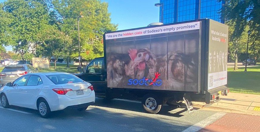 Aimee May tweet media