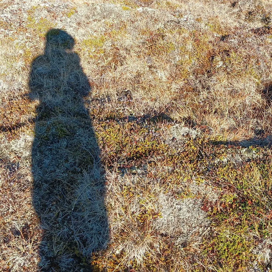 Mari Keski-Korsu tweet media