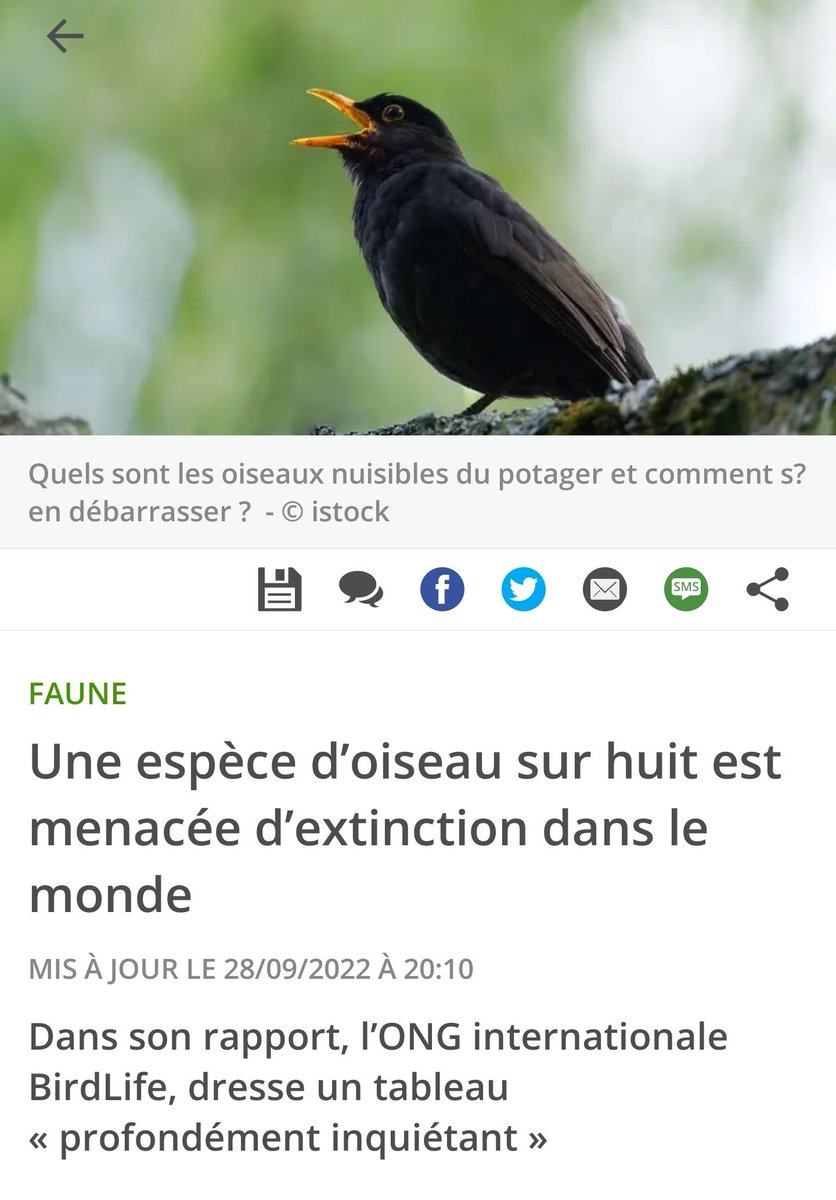 Belle illustration d'article 🤔 <a href="/20Minutes/">20 Minutes</a>