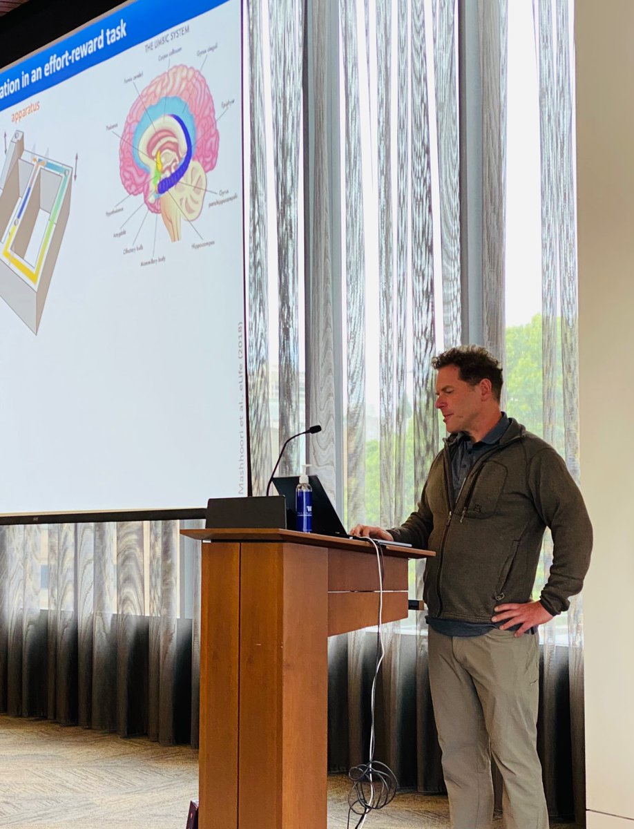 Richly diverse yet converging! new perspectives on reinforcement learning from models, humans and animal experiments today @ NeuroAI Seattle <a href="/tyrell_turing/">Blake Richards</a> <a href="/BorisGutkin/">Boris Gutkin</a> <a href="/criticalneuro/">Ida Momennejad</a> <a href="/Anne_On_Tw/">Anne Collins</a> Eric Shea-Brown <a href="/JeremiahYCohen/">Jeremiah Cohen</a> Frederic Alexandre Lia Papadopoulos Aaron Gruber