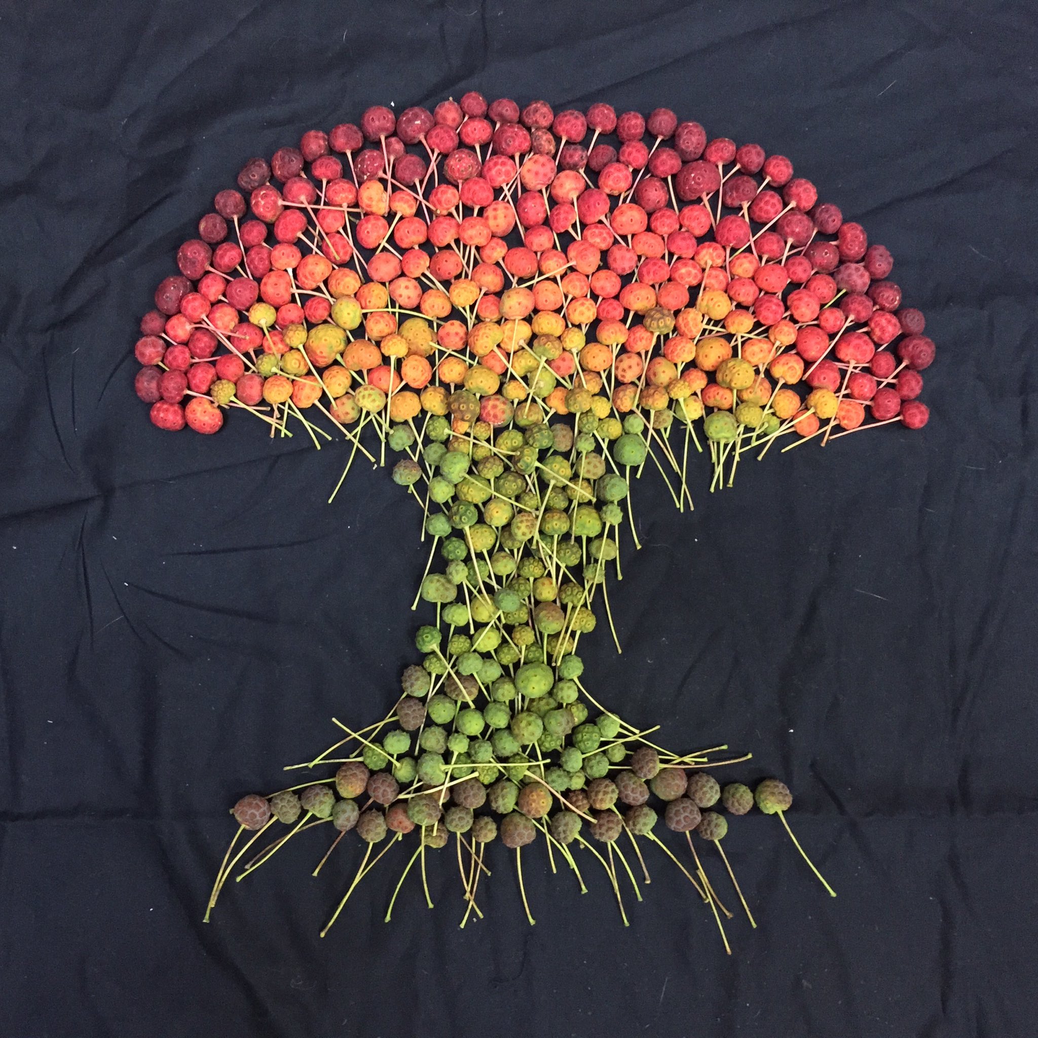 おいでよ盛岡 その先の未来に on Twitter