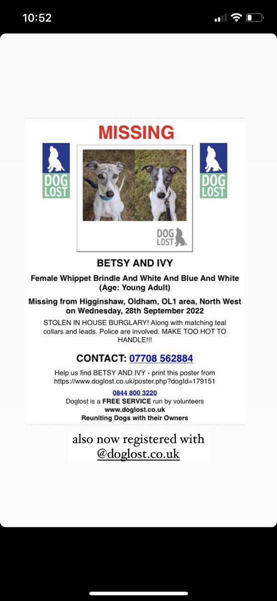 Please help! My friend’s mum had her dogs stolen when she was visiting her poorly father in hospital. Any dog owner’s WORST nightmare! Please help us make them too hot to handle and get Betsy and Ivy home 💔😭