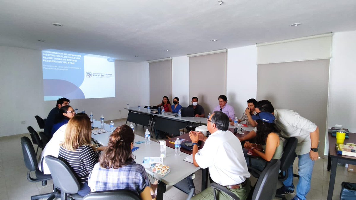 sepasyucatan's tweet photo. …la creación de una red de zonas de refugio pesquero en el Estado.

Como gobierno de Estado, agradecemos la colaboración de las instituciones asistentes y reiteramos nuestro compromiso para seguir trabajando a favor de la #PescaSustentable (2/2) https://t.co/lCchOjPQT5