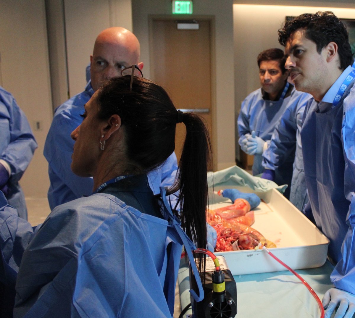 Noell Palmieri tweet media